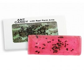 Real Ant Candy